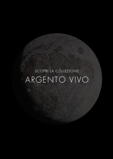 ARGENTO VIVO